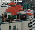 The Camelot penthouses may be available for rent. Tel +65 9668 6468  asiahomes.com