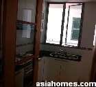 Singapore Thomson Euro Asia condos - bright compact kitchen