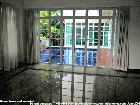 Singapore modern bungalow, small garden plot for rent - pool