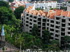 Singapore - Elmira Heights condos near Newton subway