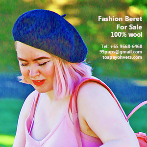 Fashion berets of the finest Merino sheep wool made in New Zealand, judy@asiahomes.com