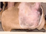 Perineal swelling had 200 ml of blood
