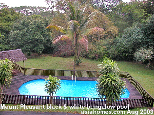 Large gardens 50,000 sq ft, big pool, privacy and Nature - Mount Pleasant black & white bungalows, Singapore