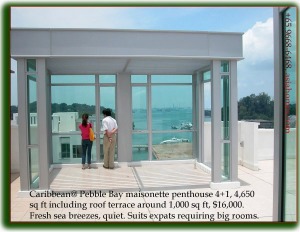 Singapore Condo - Caribbean @ Keppel Bay  - roof terrace of penthouse