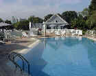 Big pool with big sundeck and BBQ and green trees, fresh breezes