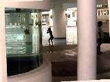 Pool with 2 aquariums.  Gym, Karaoke Room, Reading Room on right