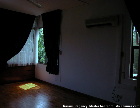 Greenery surrounds master bedroom - Nassim Regency, Singapore