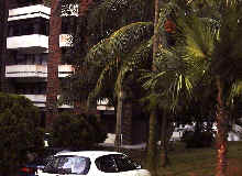 Cavenagh Court has a small pool (right) and lush landscaping.