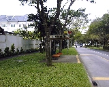 Sixth Avenue between Holland Road and Bukit Timah Road, near Regent Villas