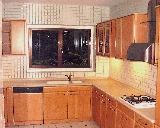 A renovated modern Arcadia kitchen with green tree views from the window