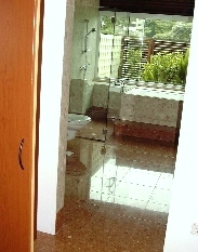 Plants and natural daylight brighten bathroom. Frame-less shower cubicle.