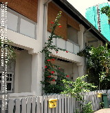 Grow your won hibiscus flowers to beautify the Townerville Colonial House, Singapore