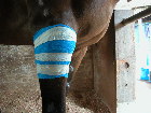 Re-bandaged again. 