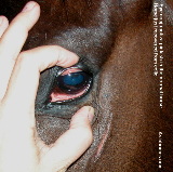 Singapore horse - impaction colic