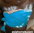 Singapore thoroughbred horse - anti-fly powder 4.30 pm Day 2